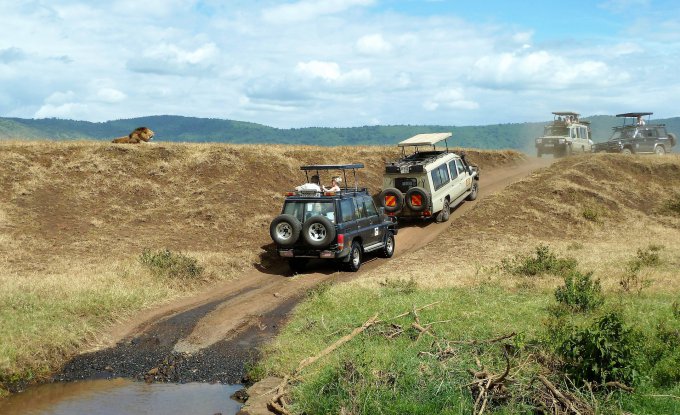 Wakacje dla wymagających - Safari w Tanzanii